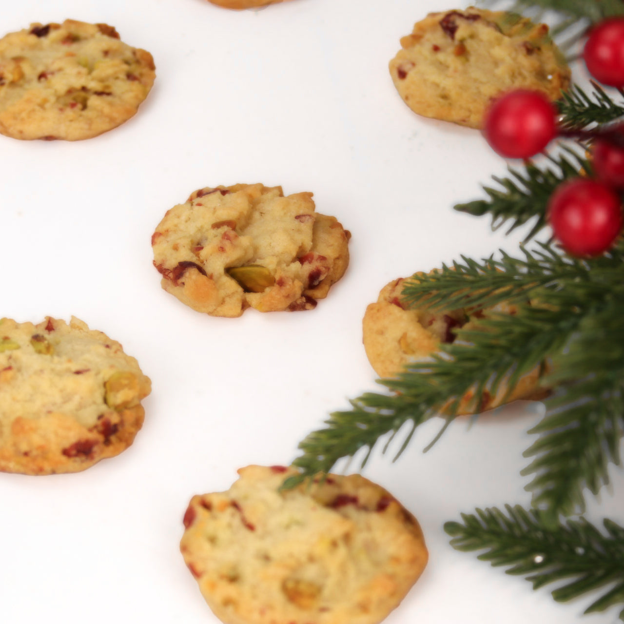 Merry Christmas Cranberry Pistachio Biscuits 16oz Tin