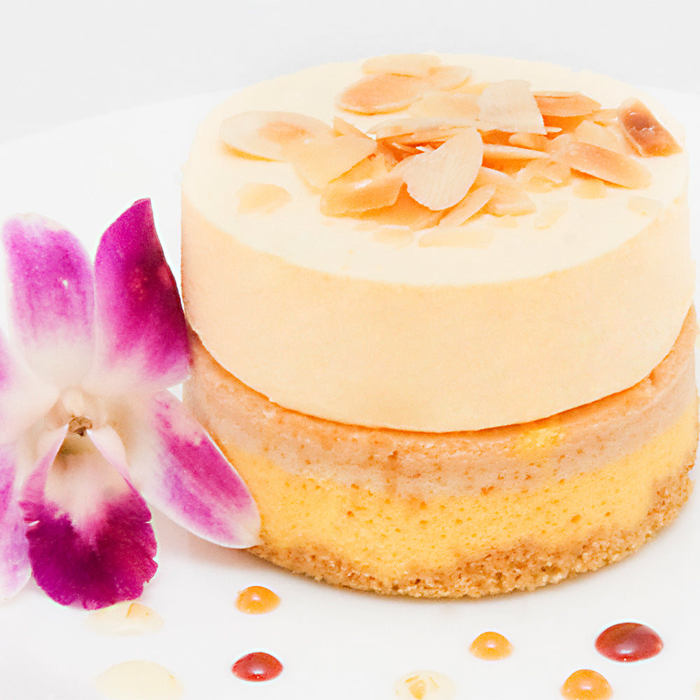 6 Piece Mango Guava Cheesecake Individual Dessert Cakes